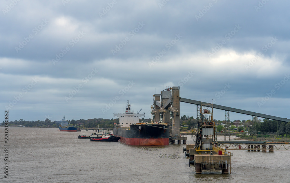 Fototapeta premium Large cargo ship docked at an industrial port terminal receiving bulk cargo loading operations via conveyor structure under overcast sky, with tugboats assisting in brown river water