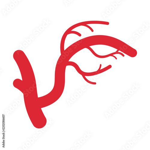 Red Artery Branching System Medical Illustration