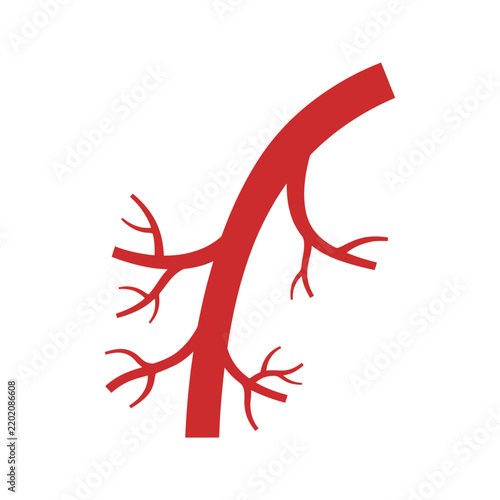 Red Artery Branching Medical Illustration