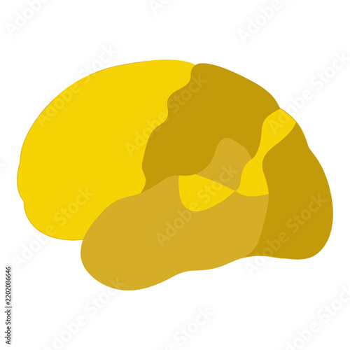Stylized Brain Silhouette, Yellow and Gold Tones, Medical and Science Concept