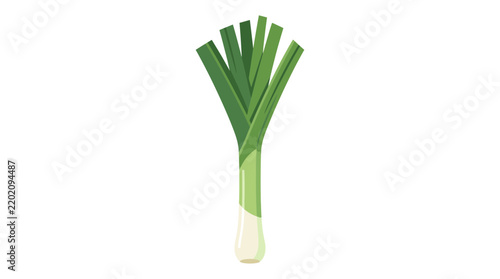Vector illustration of a fresh leek vegetable isolated on white