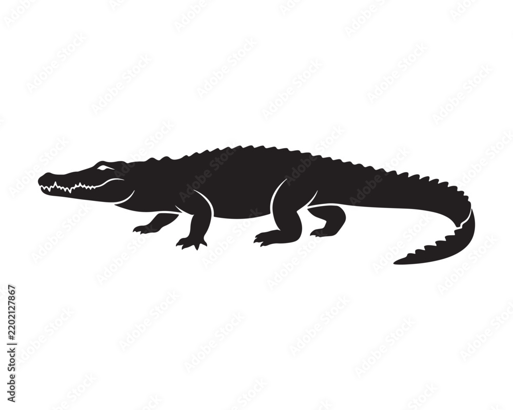 Fototapeta premium Minimalist black silhouette of a side view alligator isolated on white background with alligator crocodile silhouette