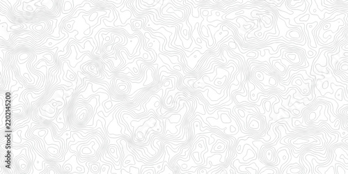 Landscape black line wireframe location diagram world map texture design. White relief counter topo map diagram outline minimal area topography spiral line textile background .	

