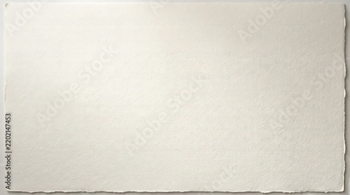 Fotografie Embossed textured white paper background