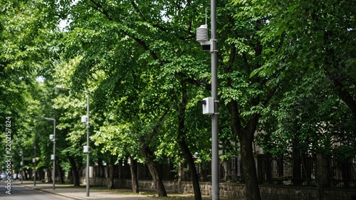 Urban tree canopy sensors on smart street poles