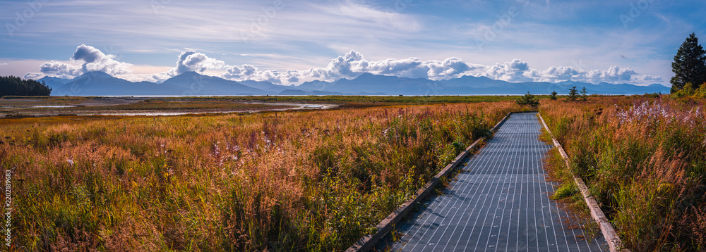 Obraz premium Alaska Homer marshland and boardwalk hiking trail landscape at Beluga Slough Trail near Bishop's Beach and Kachemak Bay