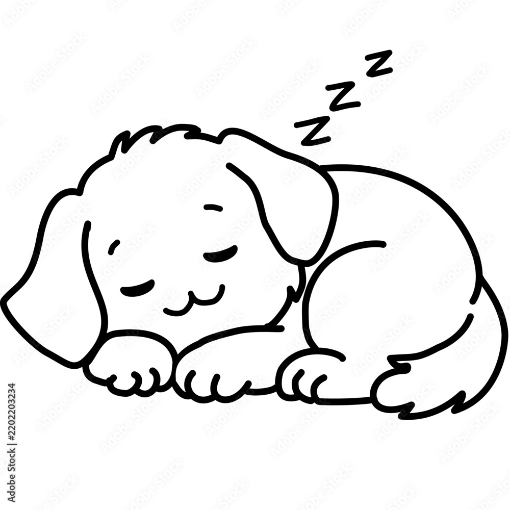 Obraz premium dog sleep