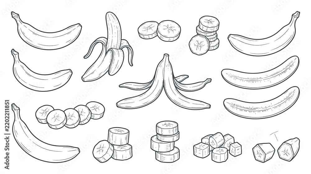 Obraz premium Banana fruit peeled slices and skin line art vector illustration.