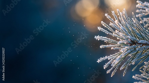 Close-up of a pine branch covered in sparkling frost against a blurred blue and golden background, capturing the essence of a cold winter morning.