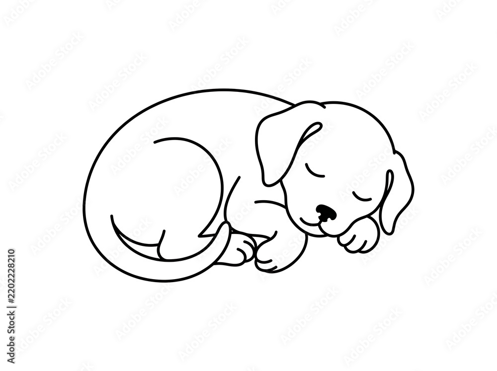 Fototapeta premium Continuous line art vector illustration of a cute sleeping puppy, cozy pet design concept