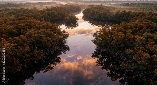 Stunning aerial view of a calm river winding through a dense mangrove forest at sunrise, with vibrant golden sky and soft clouds perfectly reflected on the tranquil water surface in morning mist.