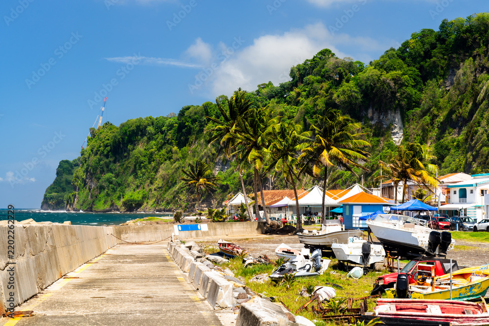 Obraz premium View of the fishing port area with boats, palm trees, and lush green cliffs in Grand Riviere, Martinique.