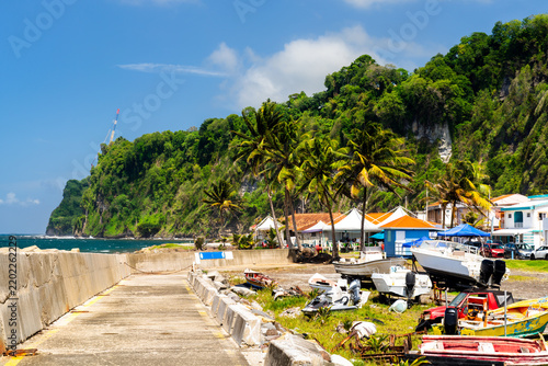 View of the fishing port area with boats  palm trees  and lush green cliffs in Grand Riviere  Martinique.