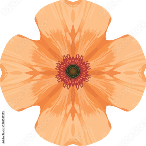 Print Orange poppy flower illustration with detailed center and radial symmetry