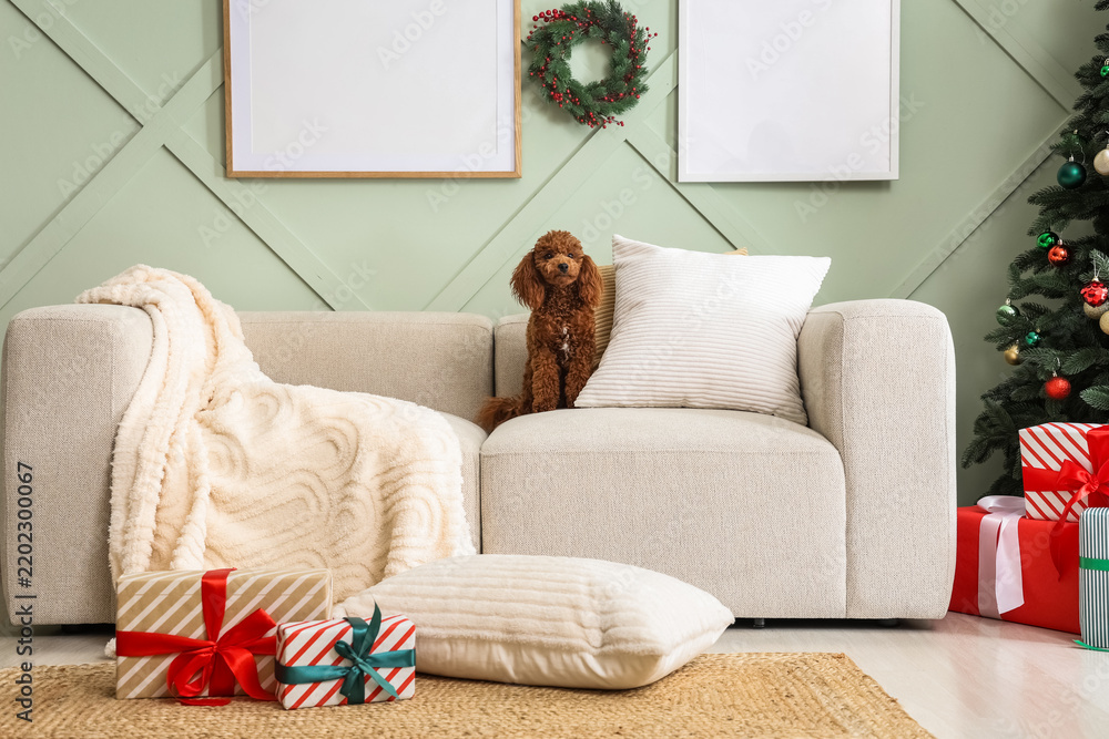 Obraz premium Christmas home comfort and holiday spirit, cute poodle dog sitting on a cozy sofa with gifts and festive decorations in a modern living room interior