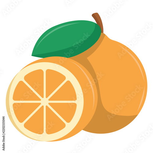 Orange fruit icon vector, orange citrus fruit vector illustration