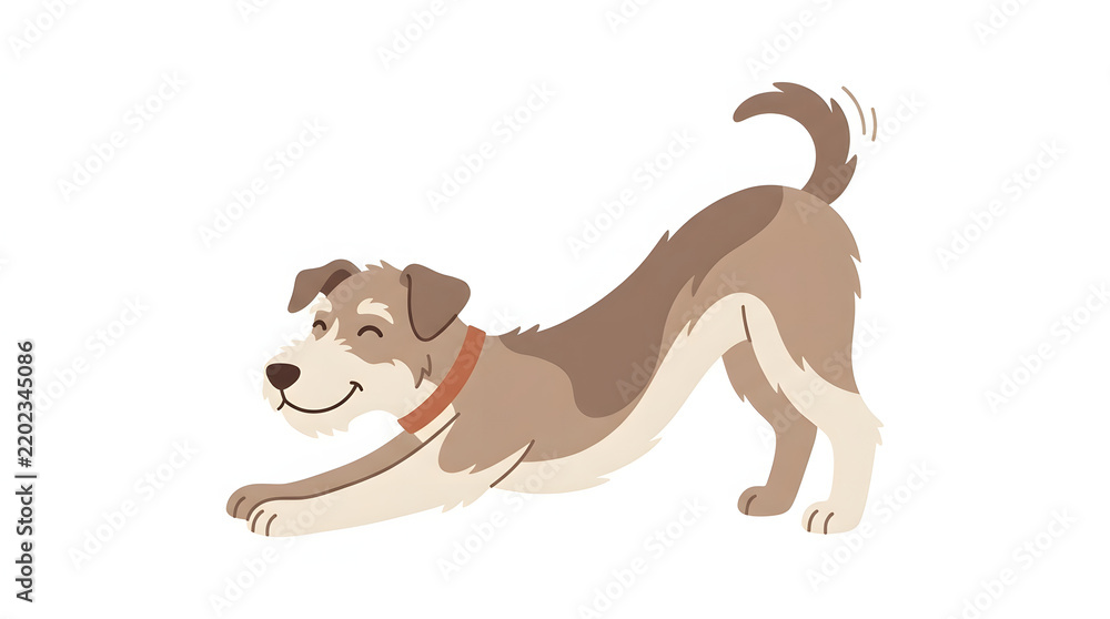 Obraz premium Happy brown and white dog stretching in a playful bow pose isolated on a white background