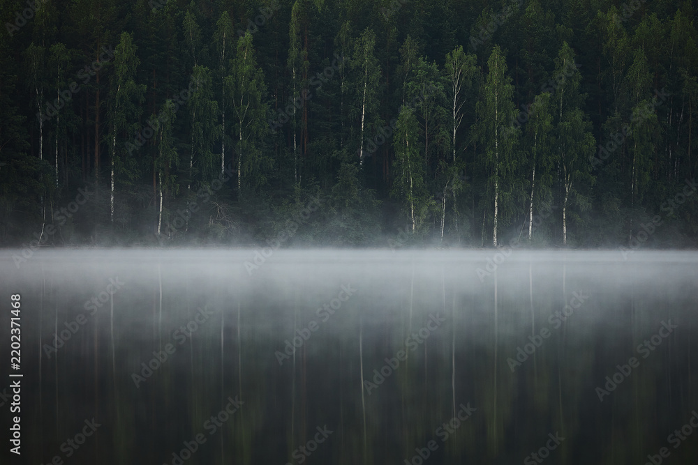Obraz premium Fog covers the surface of a lake in the early morning. Green trees stand along the shoreline. Their reflections are visible in the still water. scene shows a quiet forest area