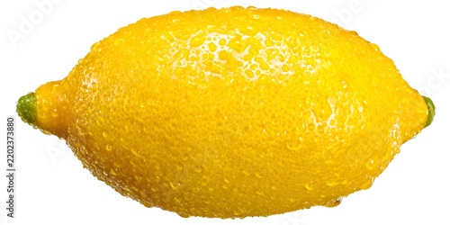 A vibrant yellow lemon displays fresh water droplets across its textured skin
