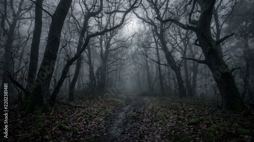 Eerie mist in a dark forest at night with scary barren trees and a path covered in dead leaves