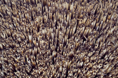 High angle full frame view of thatched roof edges