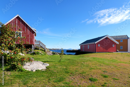 Traditional red wooden houses in Henningsvær on the Lofoten Islands stand between green meadow and rocky coast overlooking the sea under a sunny blue autumn sky.