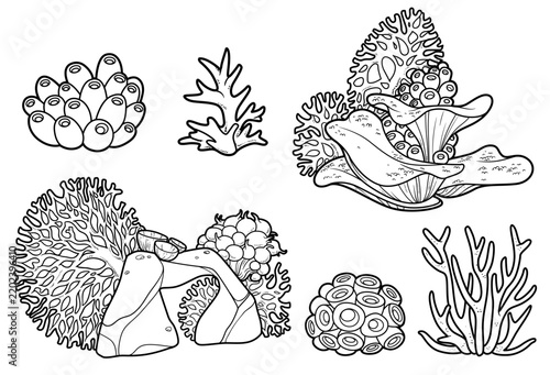 Sea objects small sponge colony, sandstone, corals, anemones outlined isolated on white background