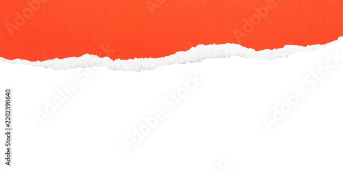 Rising orange torn paper edge on transparent background