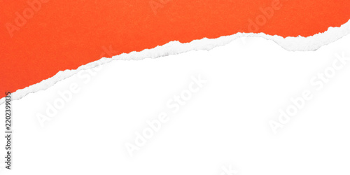 Rising orange torn paper edge on transparent background