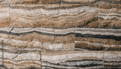 texture of wood