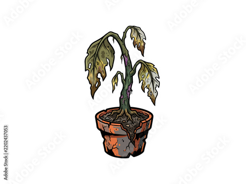 Distressed Wilting Plant in Cracked Pot - Concept of Neglect and Decay