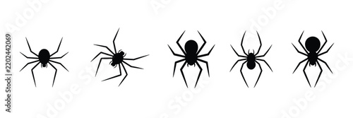 Set of five black spider silhouettes in different poses and orientations isolated on a white background, for halloween decoration, and nature themed projects
