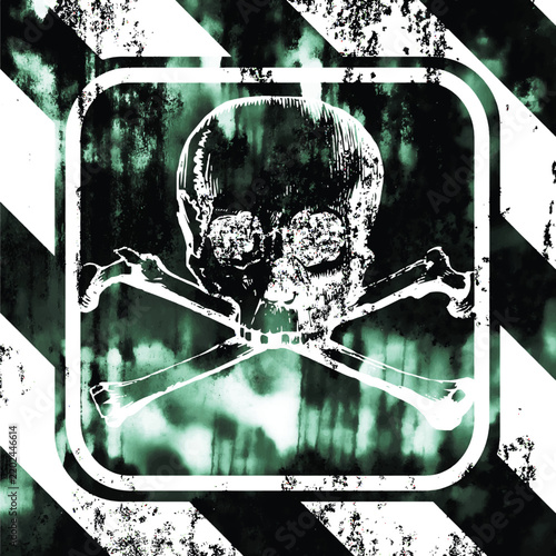 The skull and crossbones sign. Grunge backdrop