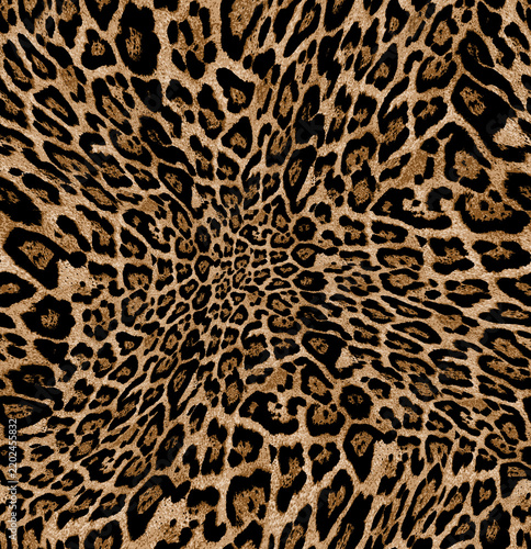 Canvas Print Dynamic leopard print pattern abstract wild animal texture background