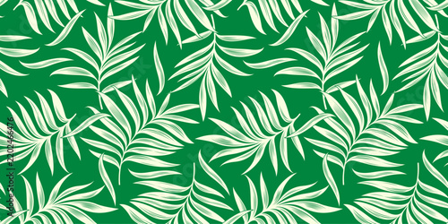 Botanical seamless pattern of white tropical palm leaves on dark green background, hawaii summer shirt pattern, simple elegant jungle wallpaper.