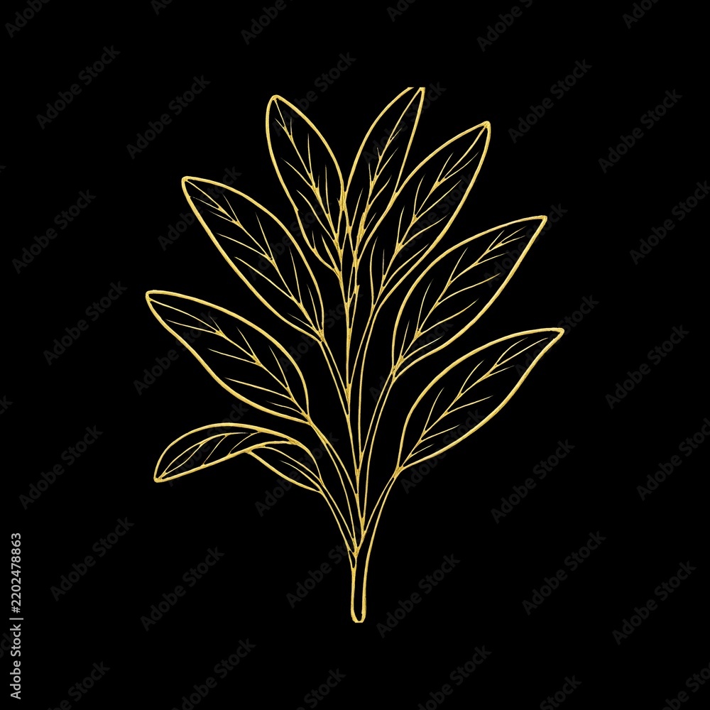 Obraz premium Elegant golden leaf illustration.