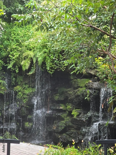 waterfall in the jungle