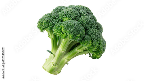 Fresh green organic broccoli head vegetable crop isolated on transparent background