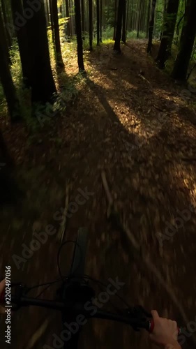 Vertical POV video of a mountain biker riding downhill on a forest trail