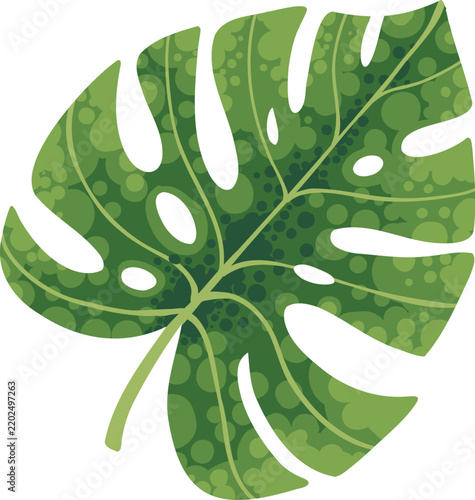 Tropical palm leave and monstera foliage vector icon. Exotic green leaf patterns perfect for summer designs, beach themes, and botanical illustrations