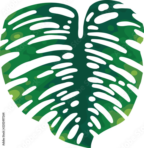 Tropical palm leave and monstera foliage vector icon. Exotic green leaf patterns perfect for summer designs, beach themes, and botanical illustrations