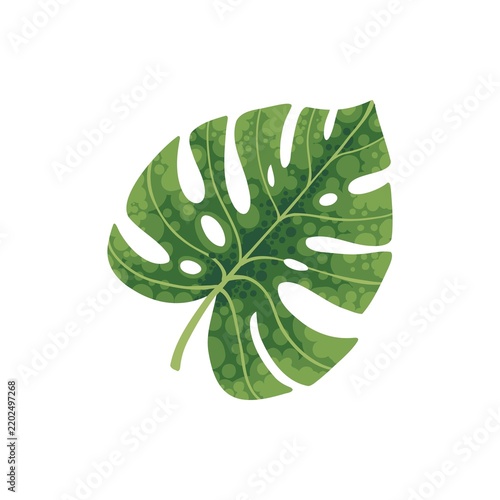 Tropical palm leave and monstera foliage vector icon. Exotic green leaf patterns perfect for summer designs, beach themes, and botanical illustrations