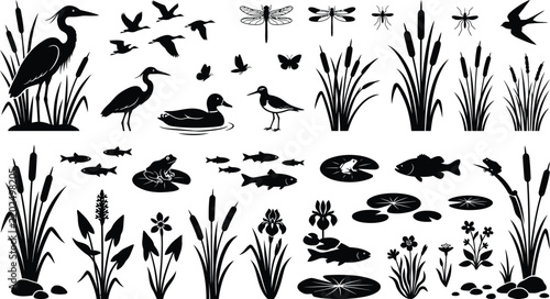 Decorative Wetland Silhouette Collection with Birds Reeds Frogs and Dragonflies