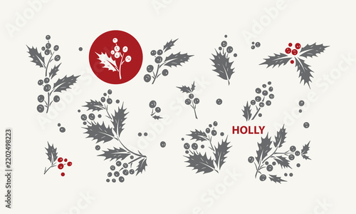 Christmas Holly Berry Decorative Elements Set