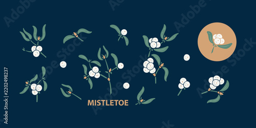 Christmas Mistletoe Branches White Berries Decorative Elements Set