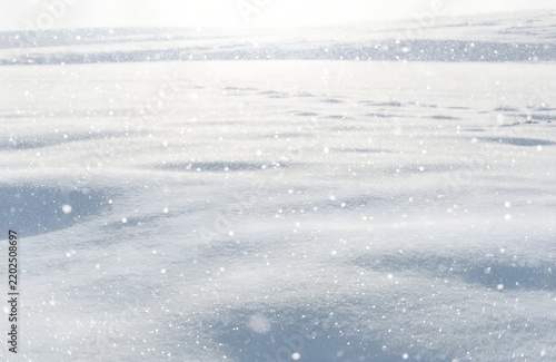 逆光で光る雪原。雪が舞う。