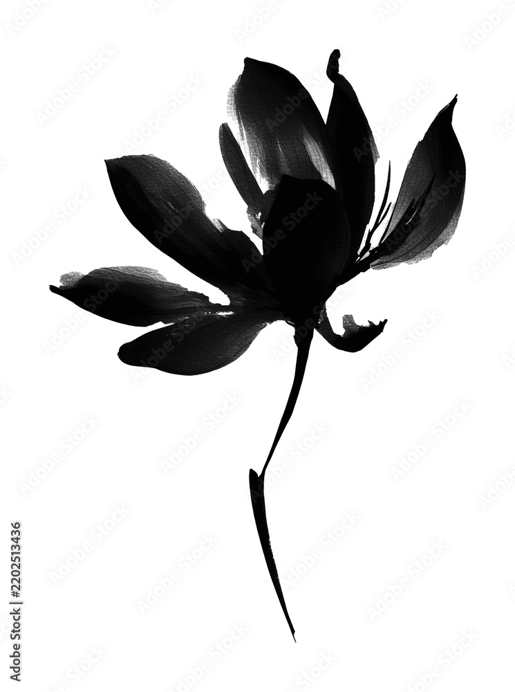 Obraz premium PNG Elegant monochrome floral illustration.