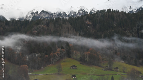 Obraz na plátně Wooden chalets on green hillside with low fog in Lauterbrunnen Switzerland