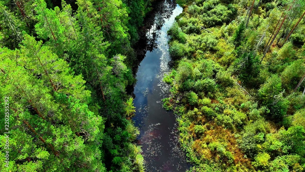 Fototapeta premium Aerial view of winding river surrounded by lush green forests with dense foliage and textures