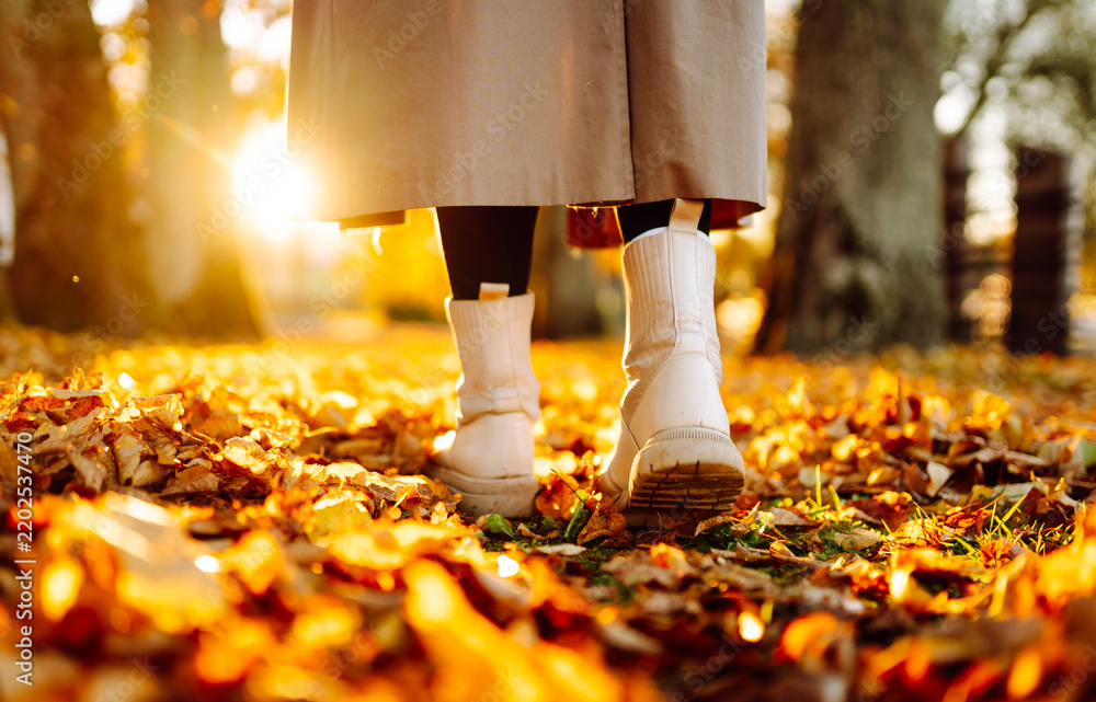 Fototapeta premium Close-up shot of woman legs walking through park strewn with fallen yellow leaves at sunset. Feet in boots on grass in autumn forest. Concept of nature, changing seasons, enjoyment.